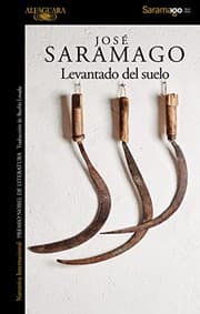 Tapa de Levantado del suelo