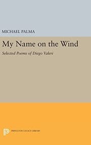 Tapa de My Name on the Wind