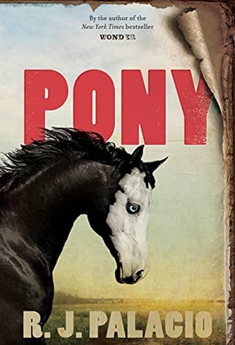 Tapa de Pony