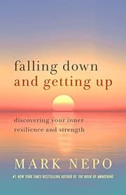 Tapa de Falling down and Getting Up