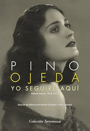 Tapa de Yo seguiré aquí