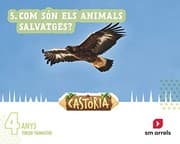 Tapa de Àrees integrades. 4 Anys. 3 trimestre. Castoria. Arrels