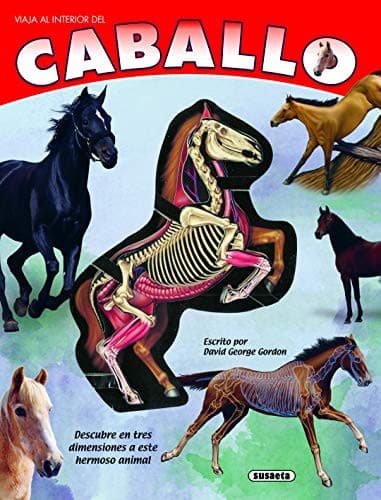 Tapa de Caballo