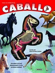 Tapa de Caballo