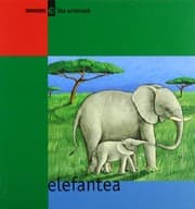 Tapa de Elefantea
