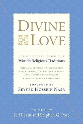 Tapa de Divine love