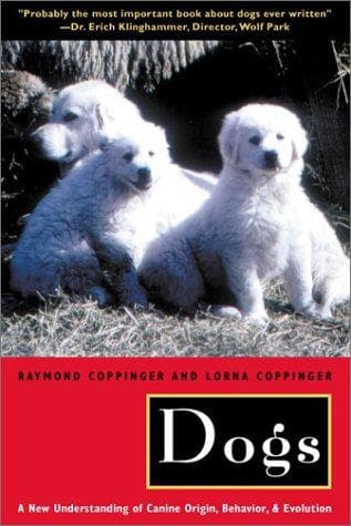 Tapa de Dogs