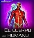 Tapa de Preguntas y respuestas sobre el cuerpo humano