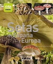 Tapa de Setas de España y Europa