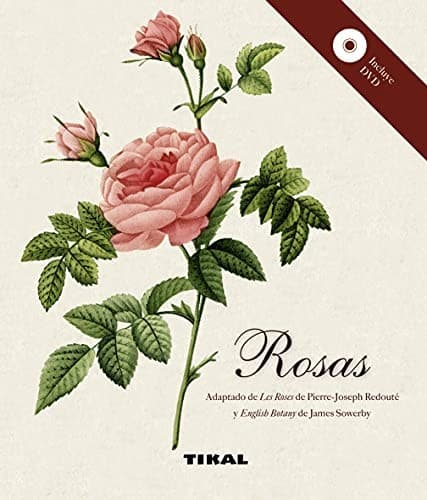 Tapa de Rosas