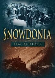 Tapa de Snowdonia