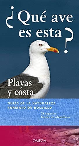 Tapa de ¿QUÉ AVE ES ESTA?
