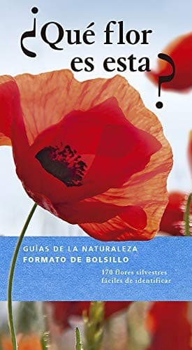 Tapa de ¿QUÉ FLOR ES ESTA?