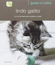 Tapa de Lindo gatito