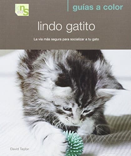 Tapa de Lindo gatito