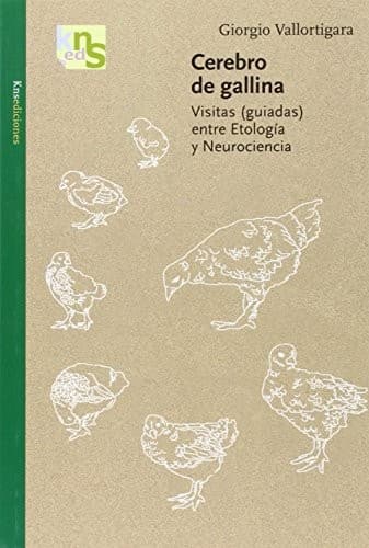 Tapa de Cerebro de gallina