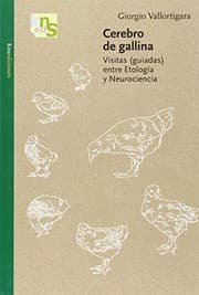 Tapa de Cerebro de gallina