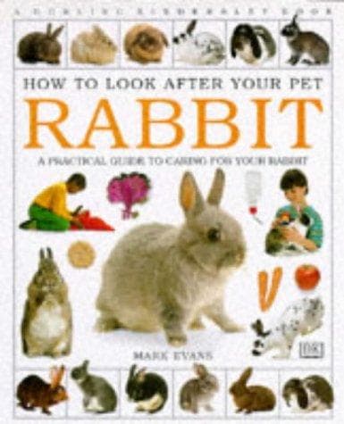Tapa de Rabbit (How to Look After Your Pet)