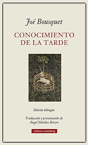 Tapa de Conocimiento de la tarde