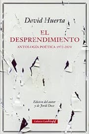 Tapa de El desprendimiento