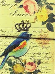 Tapa de LIBRETA PETIRROJO