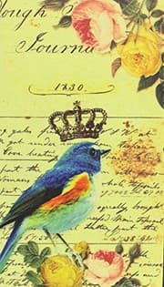 Tapa de Libreta grande petirrojo