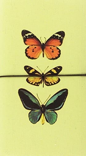 Tapa de Libreta grande mariposas