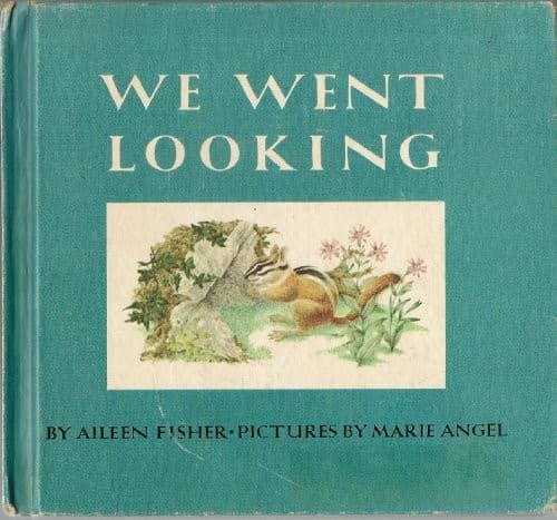 Tapa de We Went Looking