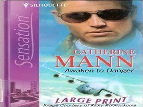 Tapa de Awaken to Danger