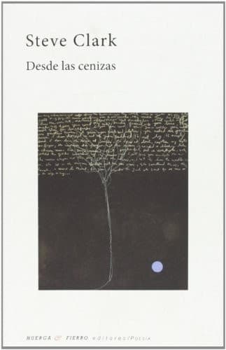 Tapa de Desde las cenizas