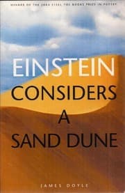 Tapa de Einstein Considers a Sand Dune
