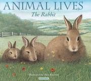 Tapa de The rabbit