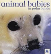 Tapa de Animal babies in polar lands