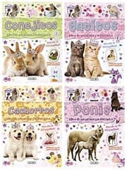 Tapa de Mascotas con pegatinas