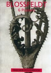 Tapa de Blossfeldt Poster Book (Posterbooks)