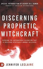 Tapa de Discerning Prophetic Witchcraft