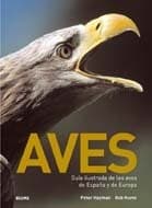 Tapa de Aves