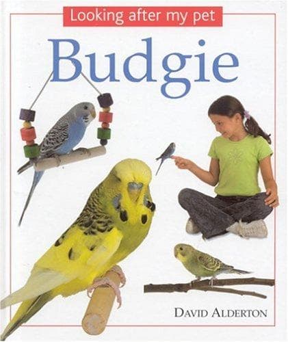 Tapa de Budgie