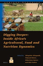 Tapa de Digging deeper