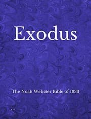 Tapa de Exodus