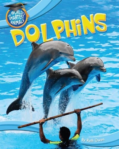 Tapa de Dolphins