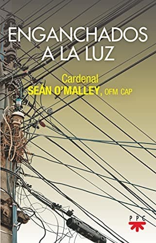 Tapa de Enganchados a la luz