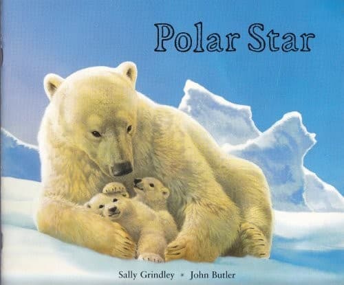 Tapa de Polar Star
