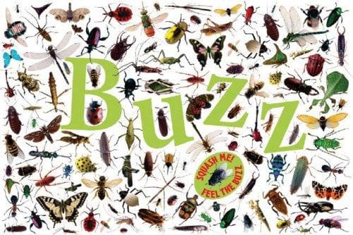 Tapa de Buzz
