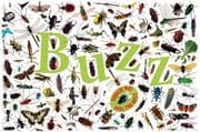 Tapa de Buzz