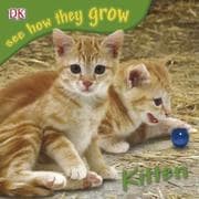 Tapa de Kitten