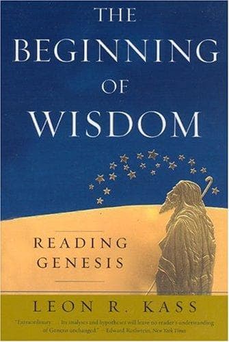 Tapa de The beginning of wisdom