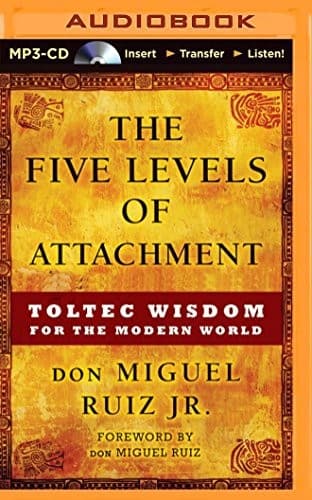 Tapa de Five Levels of Attachment, The