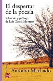 Tapa de El despertar de la poesía