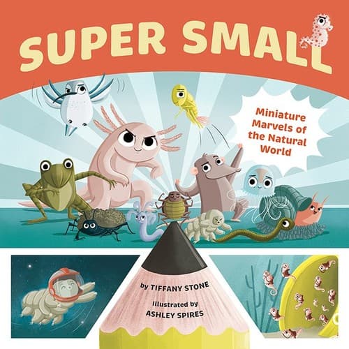 Tapa de Super Small